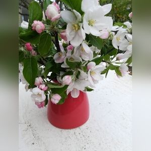 Ceramic Vase